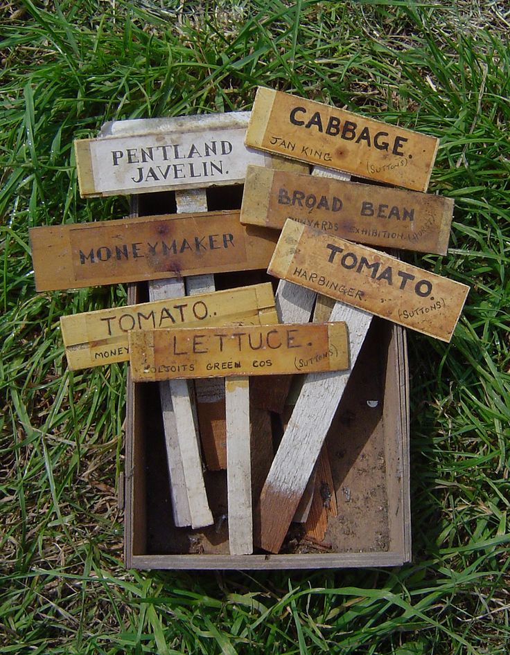 744bace8db1a9490b0c42a5f05dc3446--herbs-garden-vegetable-garden