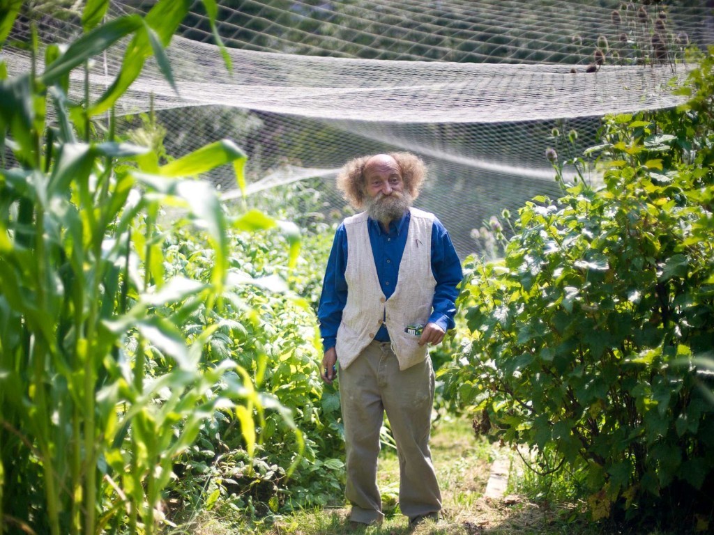 allotment-heroes-9-1024x768
